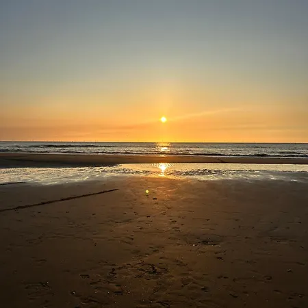 Tiny House By The Apartamento Noordwijk