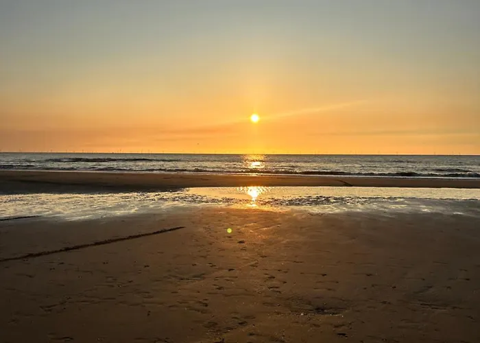 Tiny House By The Appartement Noordwijk